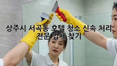 상주시 서곡동 호텔 청소? 신속 처리 전문 업체 찾기